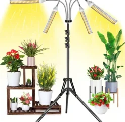 Inomhusväxt växer lätt med 4 huvuden, flexibel svanhals. 10 nivåer, 3 lägen