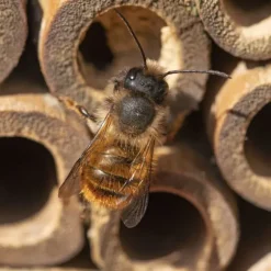 Insekthotell, 25x15x11,5 cm, Grön