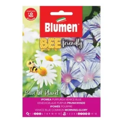 IPOMEA PURPUREA BLÅ BI-VÄNLIG BLOMMA