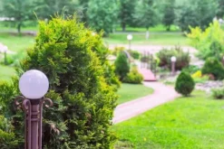 Jord för barrträd och syrofila växter 20 l