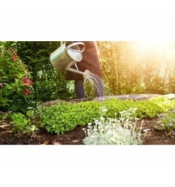 Jord för sådd av frön, grundning av plantor med kokosfiber 40L PREMIUM