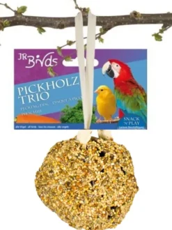 JR FARM Piltunna med delikatesser - för lek och mums för alla papegojor 55g