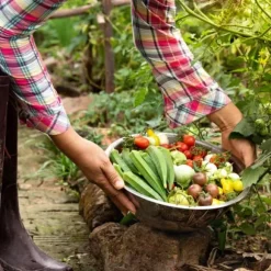 Kaliumsulfatgödselgranulat Trädgårdsstart 5kg