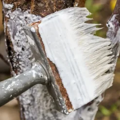 Kalk för att vittja träd och buskar Trädgårdsstart 2kg