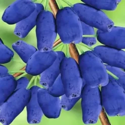 Kamchatka bärgödsel 1 kg AMPOL