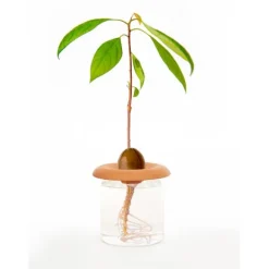 Kikkerland Terracotta - Fröspridare (CD535)