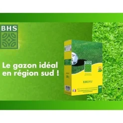 Kikuyu - BHS - 300 g | 25 m² | Medelhavsområdena | Resistent mot hög värme och trampning.