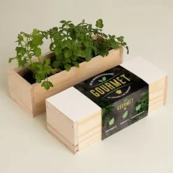 KIT FÖR GOURMET-SJÄLVODLING (PERSILJA, BASILIKA OCH KORIANDER)