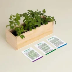 KIT FÖR GOURMET-SJÄLVODLING (PERSILJA, BASILIKA OCH KORIANDER)
