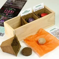 KIT FÖR SJÄLVODLING AV ÄTBARA BLOMMAR (KALENDULA, VIOLA VITTROCKIANA OCH NASTURTIUM)