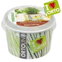 KIT ORTOLINO ERBA CIPOLLINA VERDEMAX ORTO SEMI I KÖKET GÖR DET SJÄLV BÄRBAR