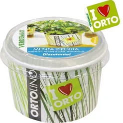 KIT ORTOLINO MENTA VERDEMAX ORTO FRÖN I KÖKET GÖR DET SJÄLV BÄRBAR