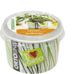 KIT ORTOLINO SALVIA VERDEMAX ORTO SEMEN I KÖKET GÖR DET SJÄLV BÄRBAR