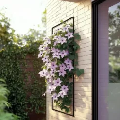 Klematis - 2 st - Clematis 'Hagley Hybrid' - Höjd 100-120cm - ⌀17cm