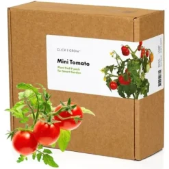 KLICKA OCH VÄX Refill - Minitomater