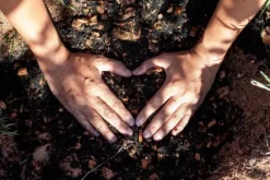 Kokosfiberchips Lösa kokoschips KOKOSTORV 10 MM 20L