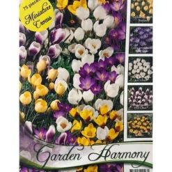 KOLLEKTION AV 75 HÖSTLÖKAR AV BOTANISKA KROKUS I MIXADE LÖKAR