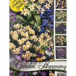 KOLLEKTION AV 75 HÖSTLÖKAR I MIX FÖR STENIG TRÄDGÅRD LÖKAR LÖKAR