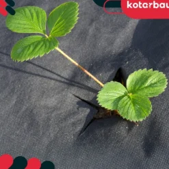 KOTARBAU® Ogrässkyddande Trädgårdstextil Universal För Ogräs Svart Rulle 110 G/M2 0,6 X 100 M + Pinnar