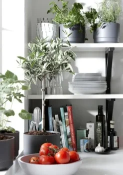 Kruka m långtidsbevattn. ø 25cm Grön Paulina