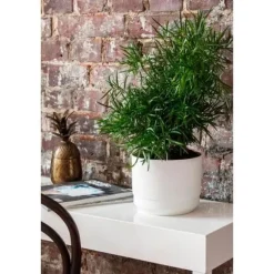 Kruka m långtidsbevattn. ø 25cm Grön Paulina