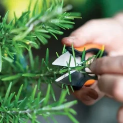 Kryddväxtsax Solid™ SP220 - FISKARS - Klipp - Rostfritt stål