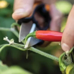 Kryddväxtsax Solid™ SP220 - FISKARS - Klipp - Rostfritt stål