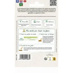 Lantliga blomfrön - VILMORIN - Blandning av färger - Lång blomning