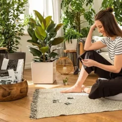 LECHUZA Planteringssubstrat PON 18 L 431599