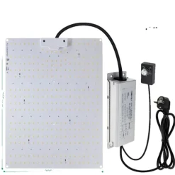 LED Växtlampa, Full Spektrum, Fytoväxtlampa,100W