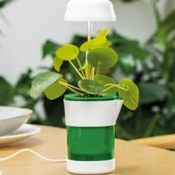 LED Växtlampa med Självvattnande Kruka – Fullspektrum Växtbelysning