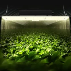 LED Växtlampa, 200W Full Spektrum Dimbar, Hög Avkastning Samsung Dioder för Inomhusodling, Fröplantor och Blomning.