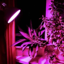 LED-lampa för växtodling VIDEX-E27-A60-8W-FITO