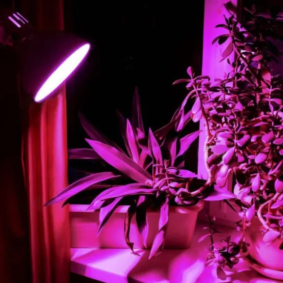 LED-lampa för växtodling VIDEX-E27-A60-8W-FITO