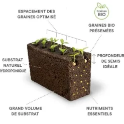 Lingot® stor grön ekologisk basilika - REAL - Refill för grönsaksträdgård inomhus - Classic, SMART, Connect, Exky®