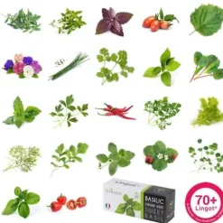 Lingot® stor grön ekologisk basilika - REAL - Refill för grönsaksträdgård inomhus - Classic, SMART, Connect, Exky®