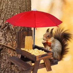 Lollanda Bordssats för ekorre – utomhus picknickbord med parasoll för fågel- och ekorrmatning, dekorativ trädgårdsstation