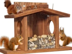 Lollanda Ekorre matare – utomhus ekorrars matningsstation, trä foderautomat för ekorrar, hållbar och lätt att fylla, med avtagbar frontpanel