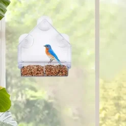 Lollanda Fågelmatare i akryl med sugpropp – fågelbad & matskål för fåglar, 15×5.5×16 cm