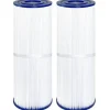 Lollanda 2-pack poolfilterpatroner – kompatibla med Unicel C-4326, Pleatco PRB25-IN, Filbur FC-2375, 25 kvadratfot filtreringsyta