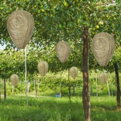 Lollanda 4st Getingfällor giftfritt lockbete av papper, avskräckande för bin