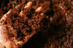 Lossad kokosfiber för växter och blommor 10mm 20L BIOVITA