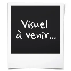 LT19827-Solar Power Getingfluga Insektshängande fälla Flugfångare utomhus CLY200529402B