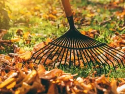 Lövräfsa / Kratta - Metall