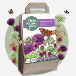 Lycklig fjäril - Set om 40 - Allium, Nectaroscordum - Blomlökar - Flerfärgad