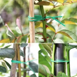 30m nylon trädgårdbindetråd, återanvändbar växtfixeringsrep med spole och skärare