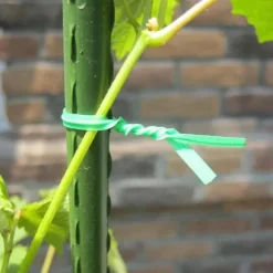 30m nylon trädgårdbindetråd, återanvändbar växtfixeringsrep med spole och skärare