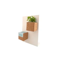 Magnetisk Grow Cube Pansy