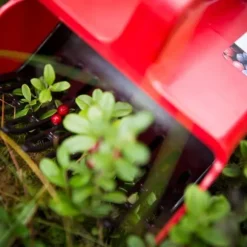 Marjukka Bärplockare - Robust och perfekt för alla typer av bär