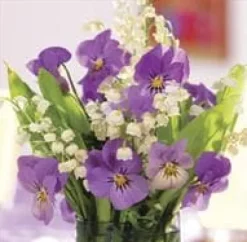 Memo Block: Purple Viola